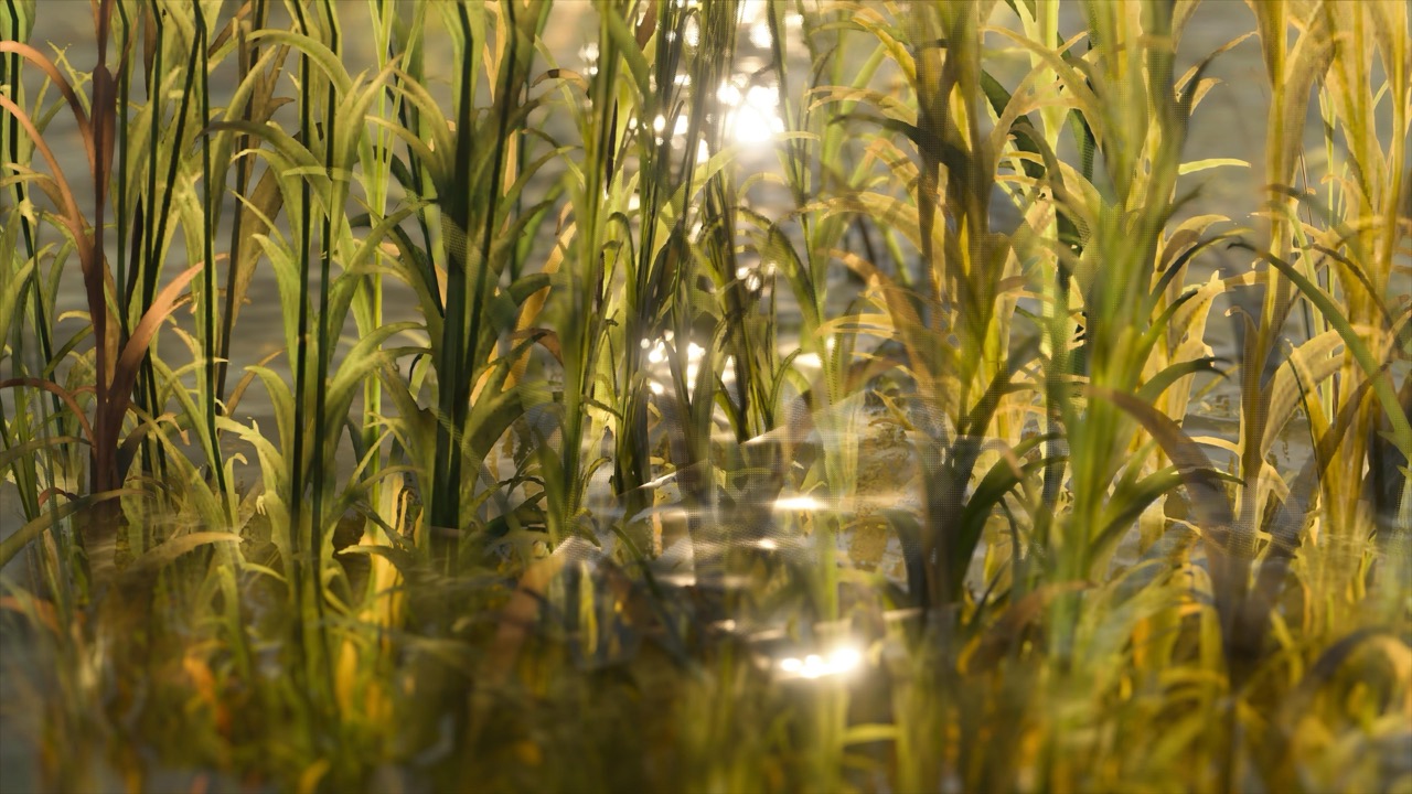 Studies on Breaking Immersion